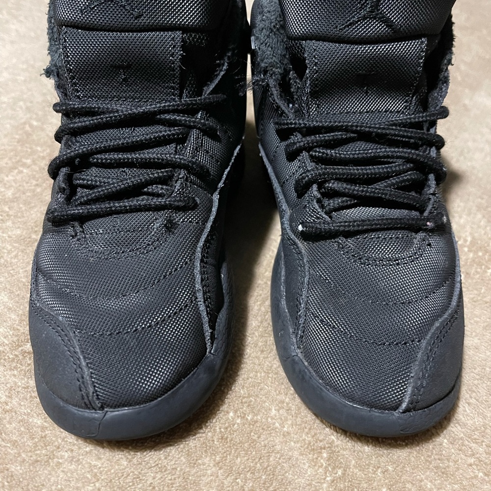 Jordan 12s shoes